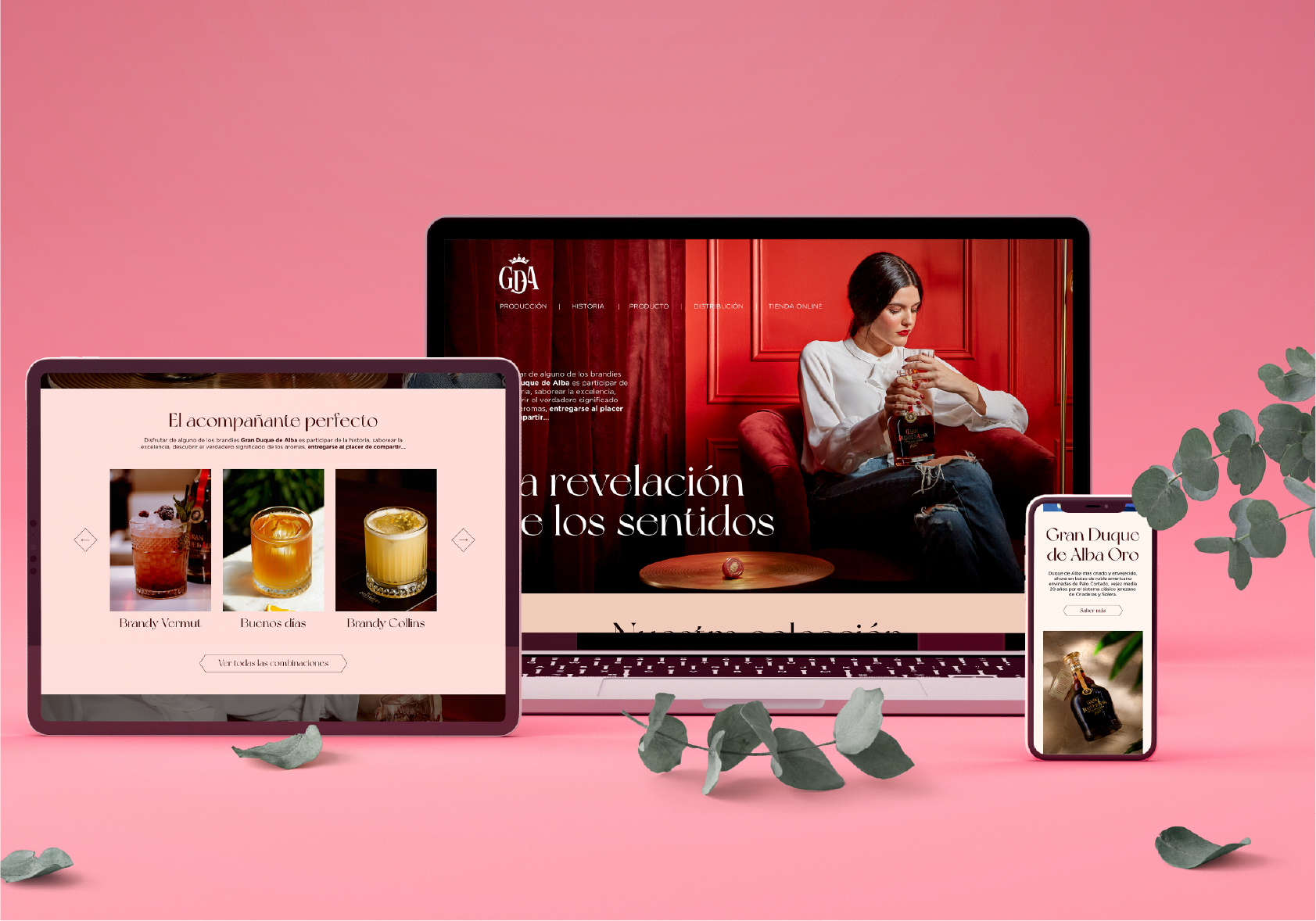 Diseño web, Gran Duque de Alba, Plannet